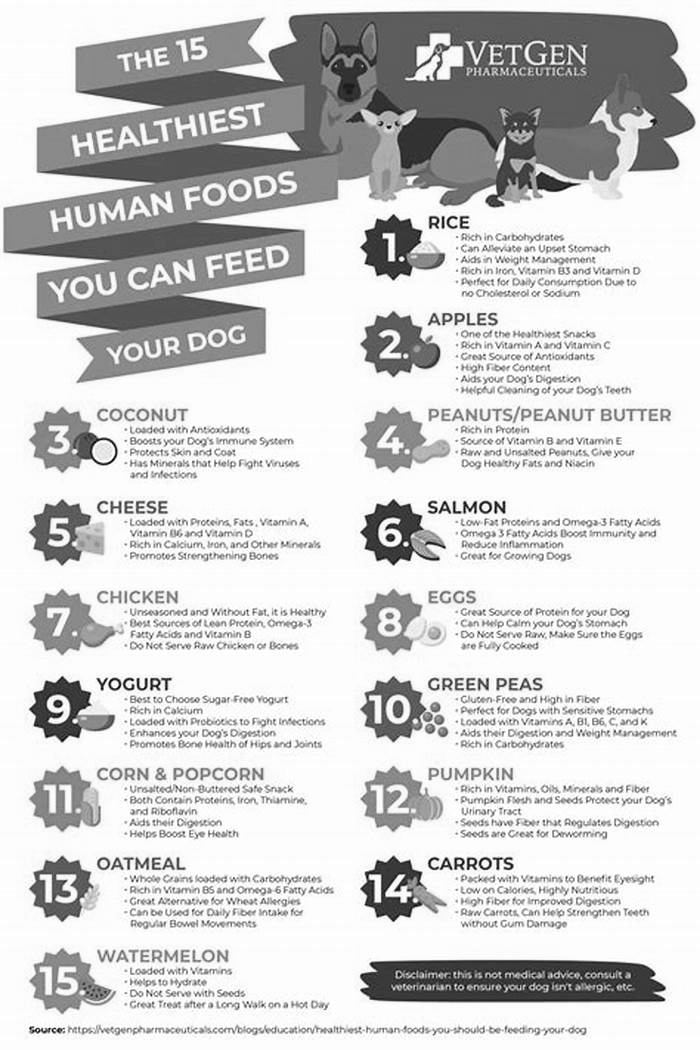 10 best human foods for dogs