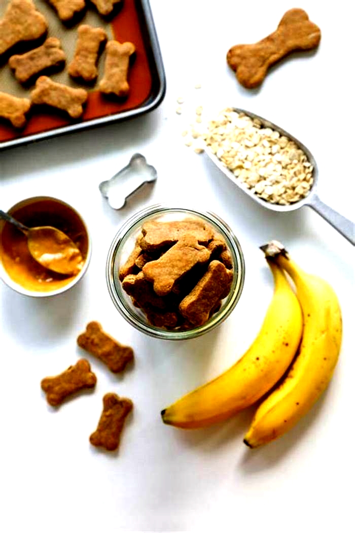 3 ingredient dog treats no banana