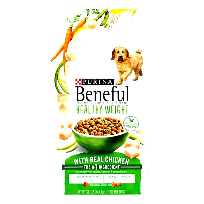 4 healthy dog food