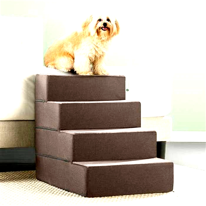 4 step dog stairs