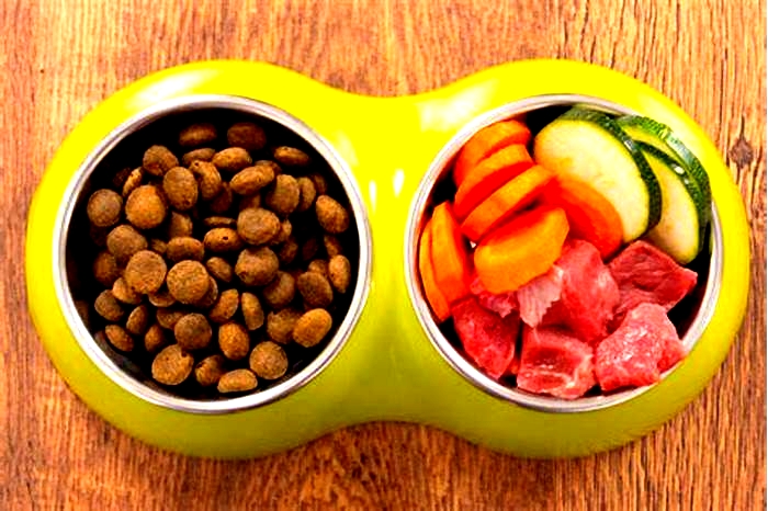 5 best homemade dog food recipes