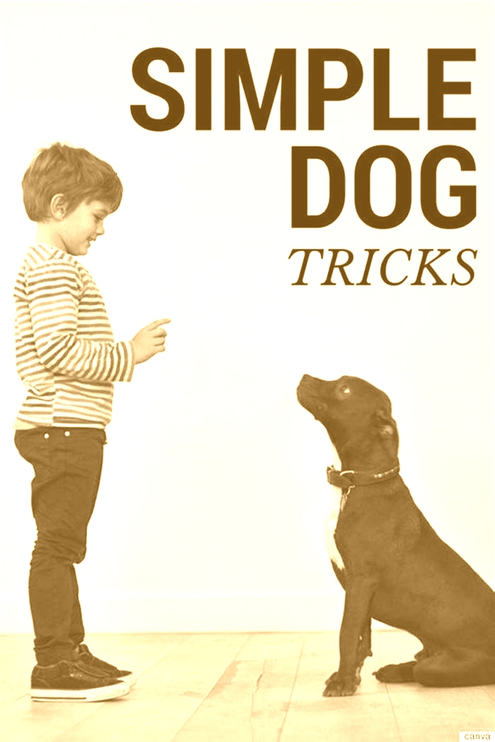 5 easy dog tricks