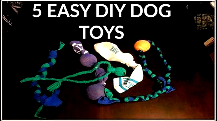 5 super easy diy dog toys