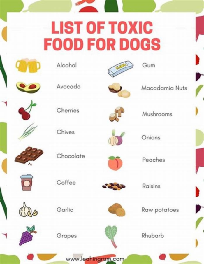 50 foods harmful to dogs