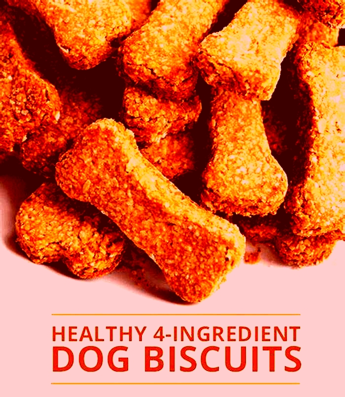 all natural dog biscuit recipe