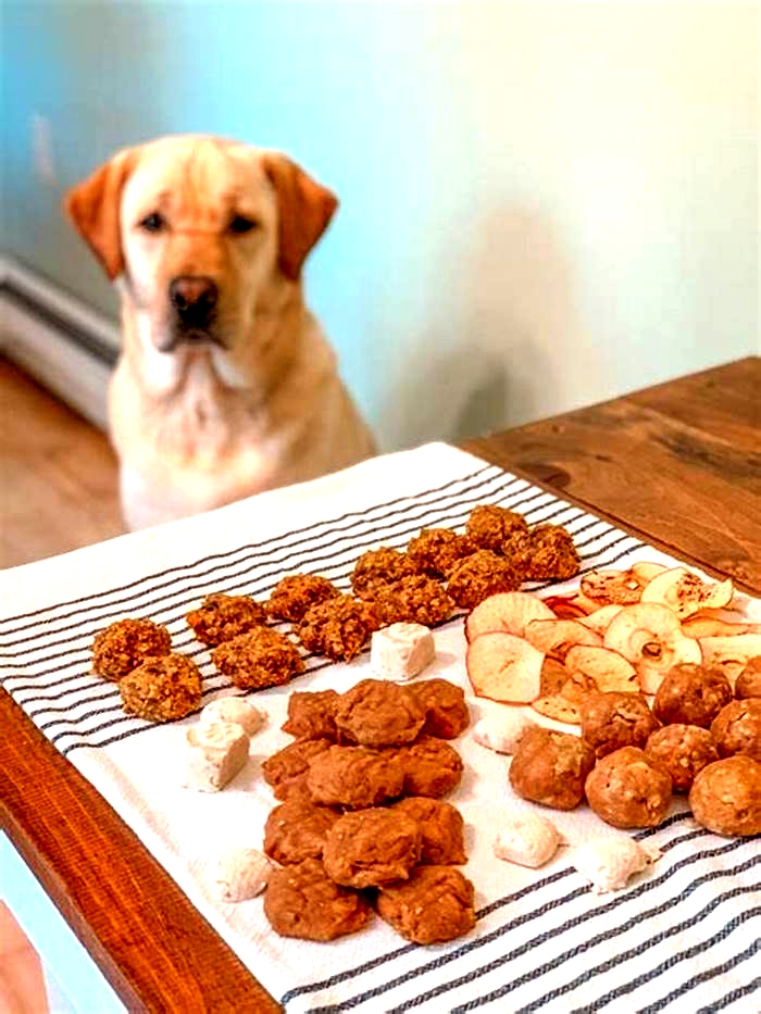 all natural dog treats for dogs