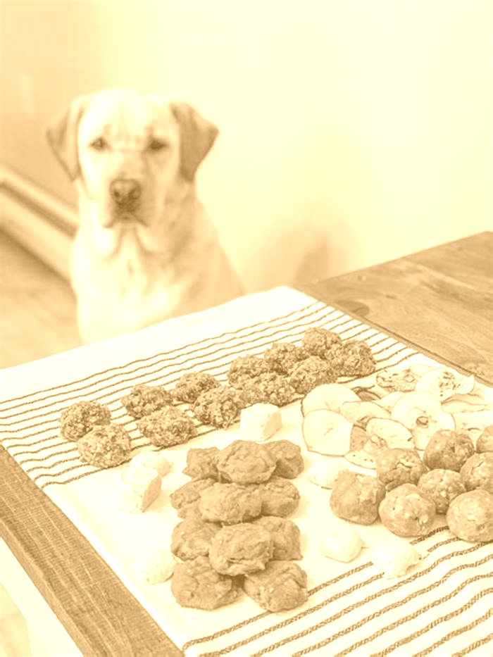 all natural dog treats recipe