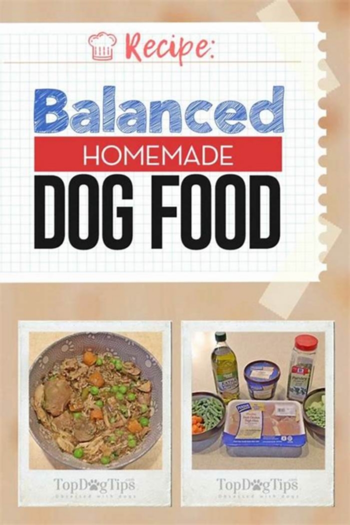 balanced homemade dog diet