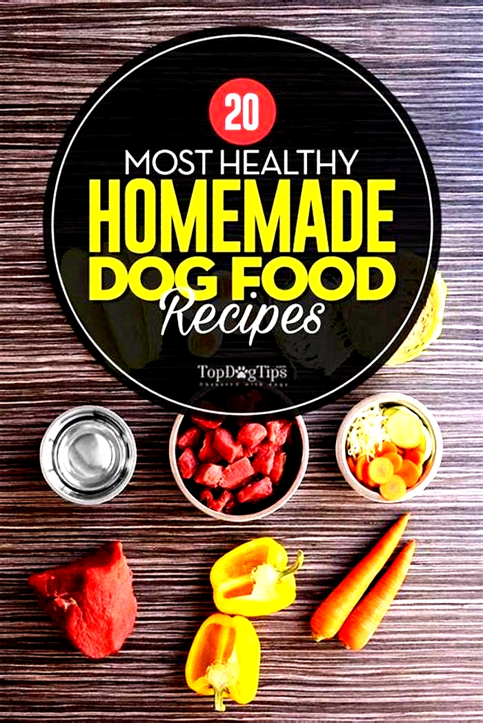 balanced homemade dog food recipes uk