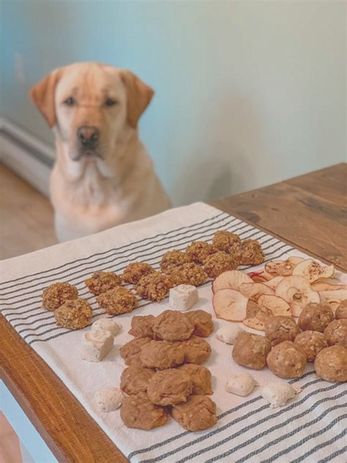 best all natural dog treats made in usa