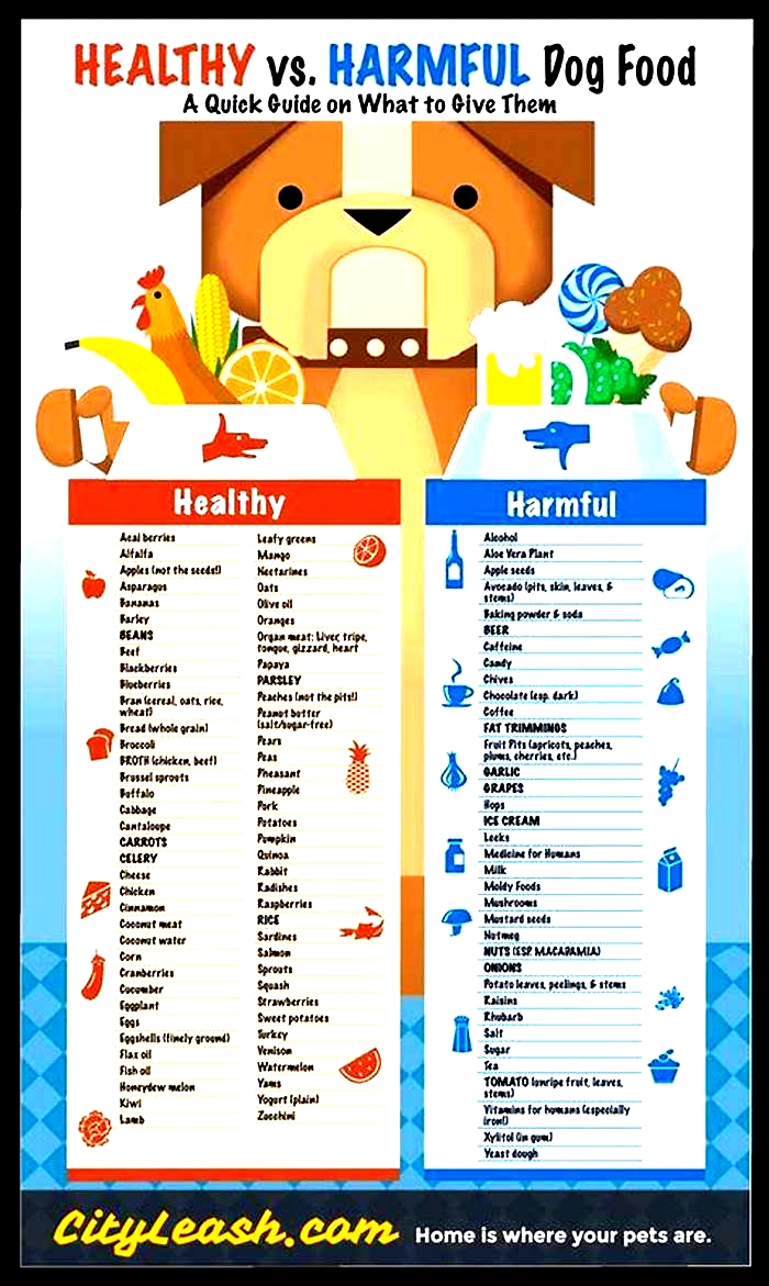 best and worst human foods for dogs