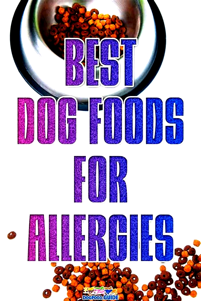 best dog food for allergies and yeast infections