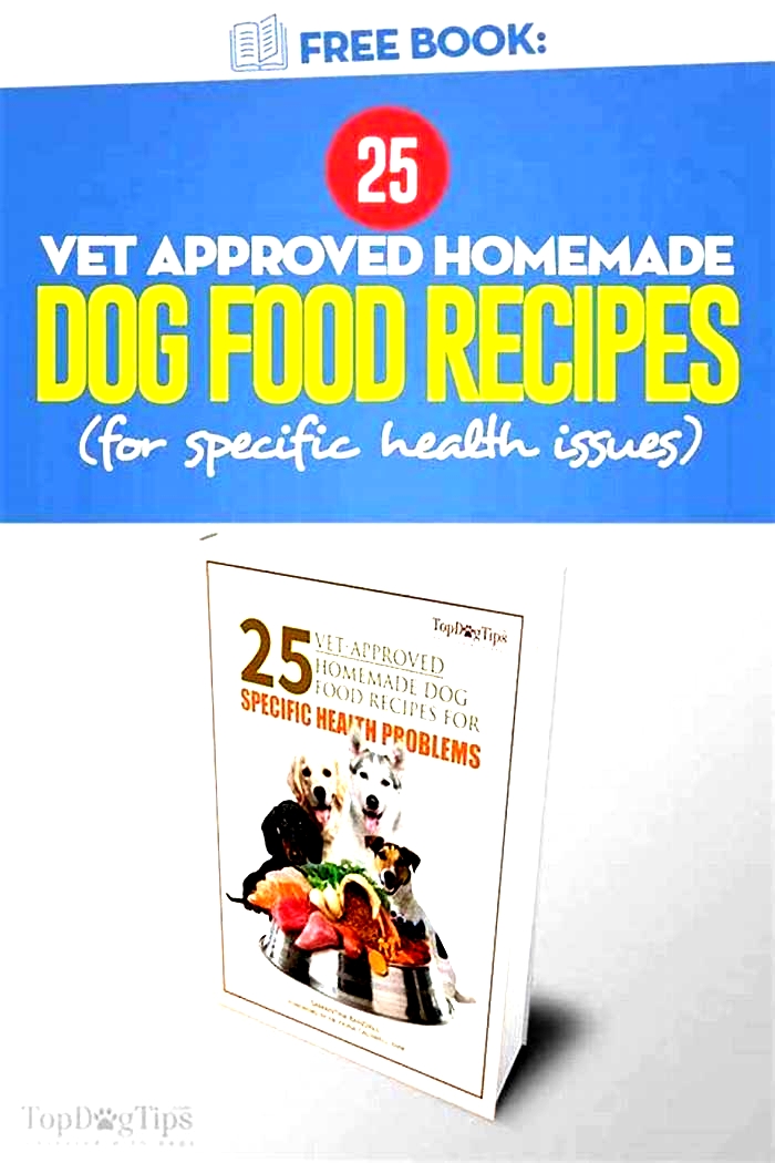 best dog food recipe book