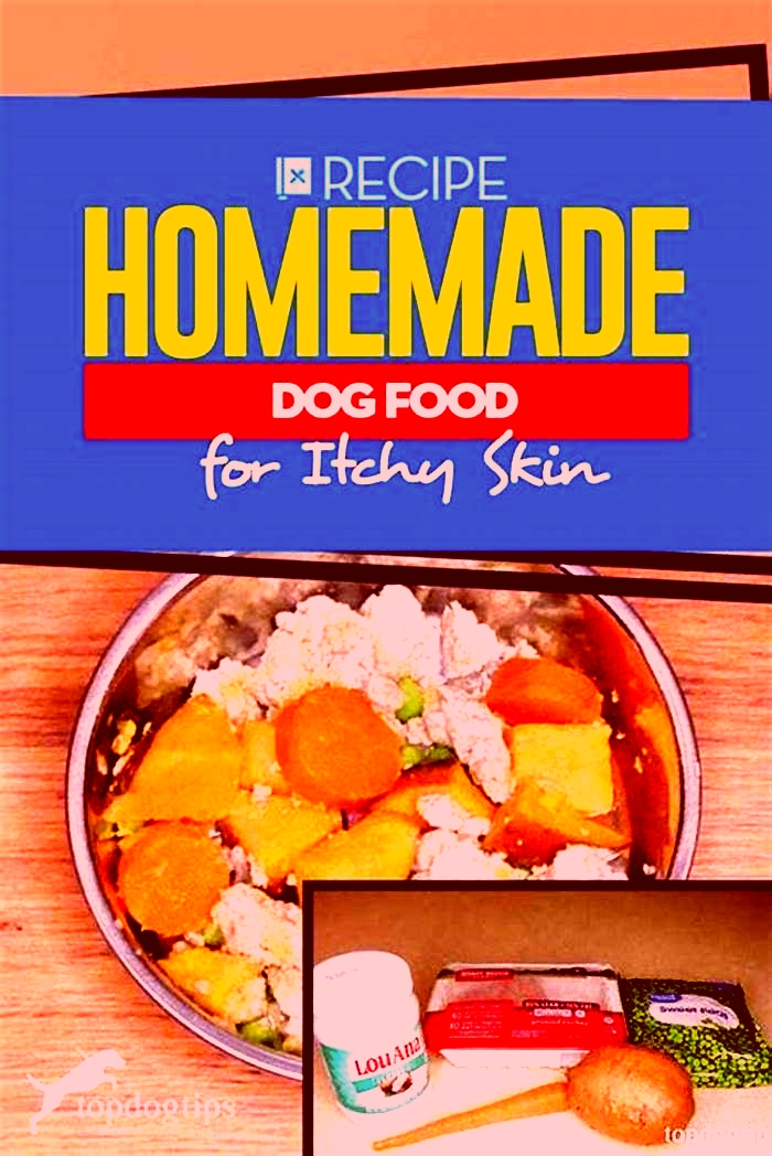 best dog food recipe for itchy skin