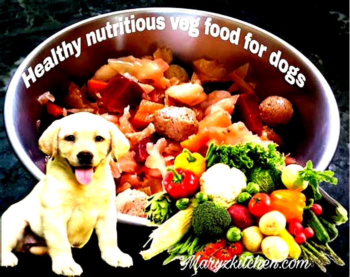 best dog food recipes australia