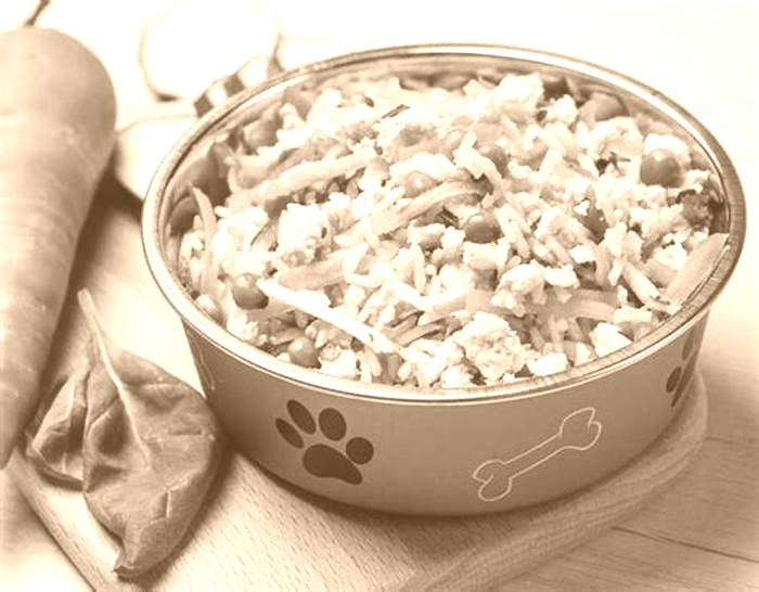 best dog food recipes for large breeds