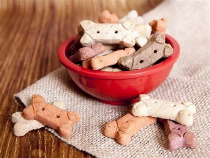 best healthy dog treats for dogs