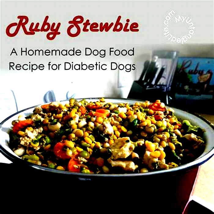 best homemade diet for diabetic dog