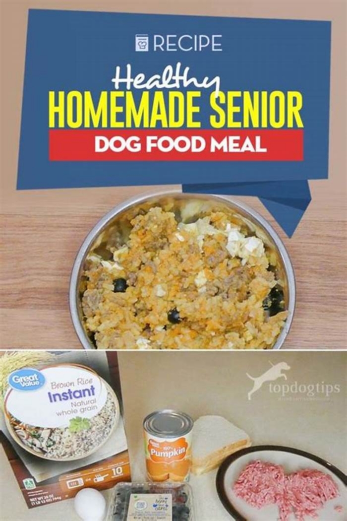 best homemade diet for older dogs