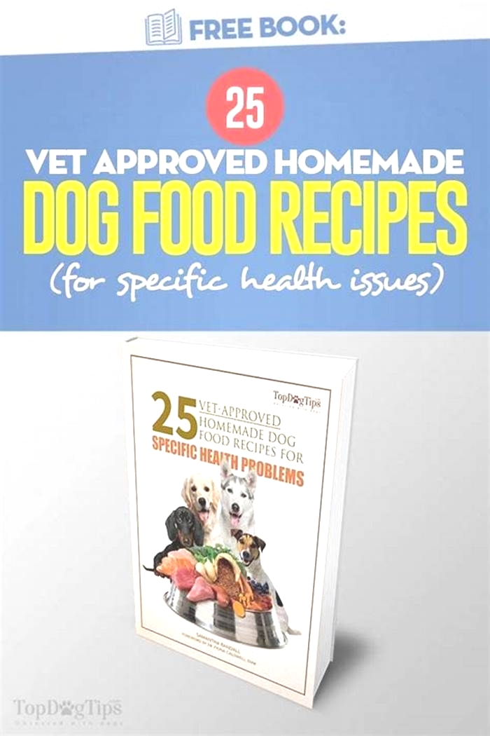 best homemade dog food recipe books