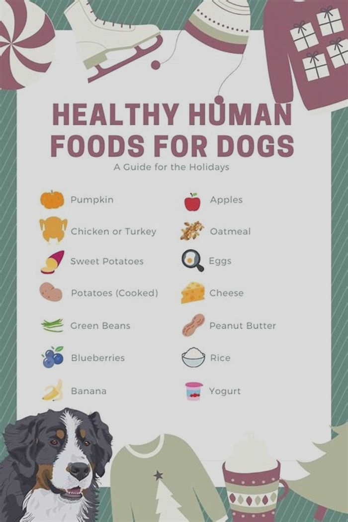 best human food dogs can eat