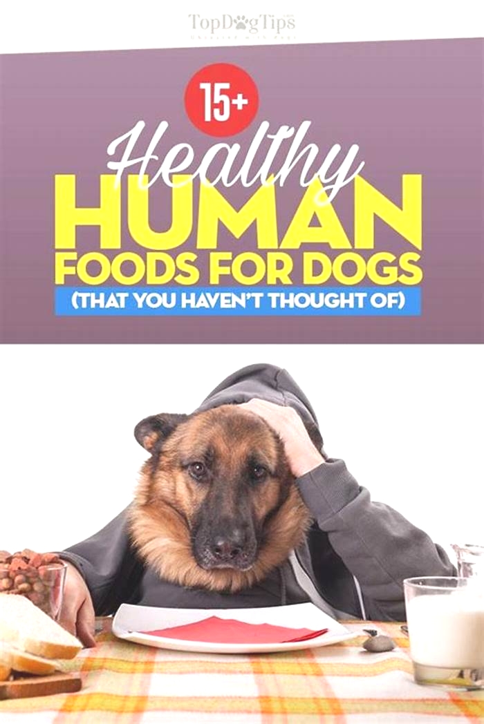 best human food for a dog