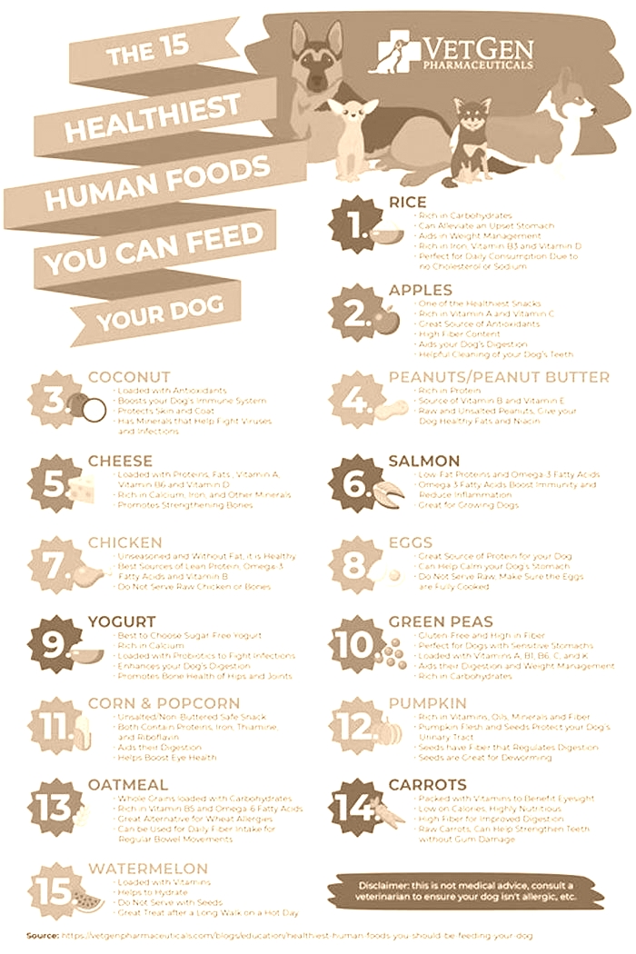 best human food for dog training