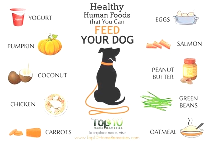 best human food for dogs joints