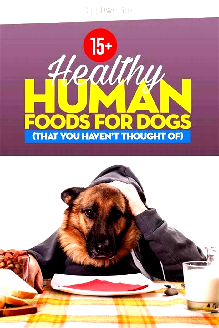 best human food for dogs uk