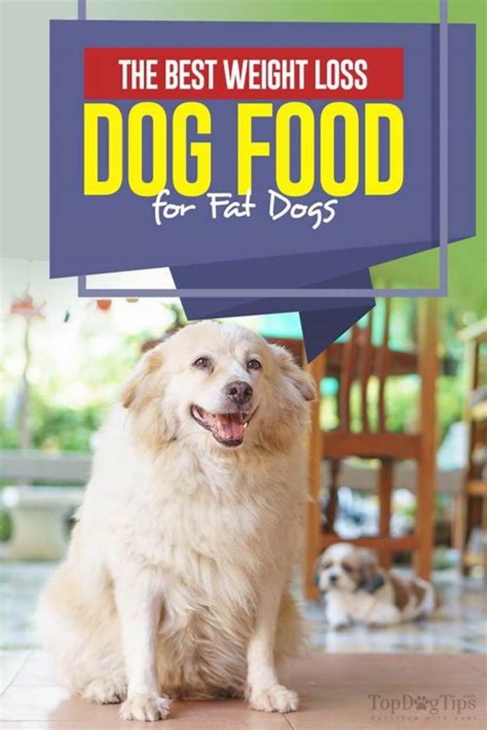 best human food for dogs weight loss