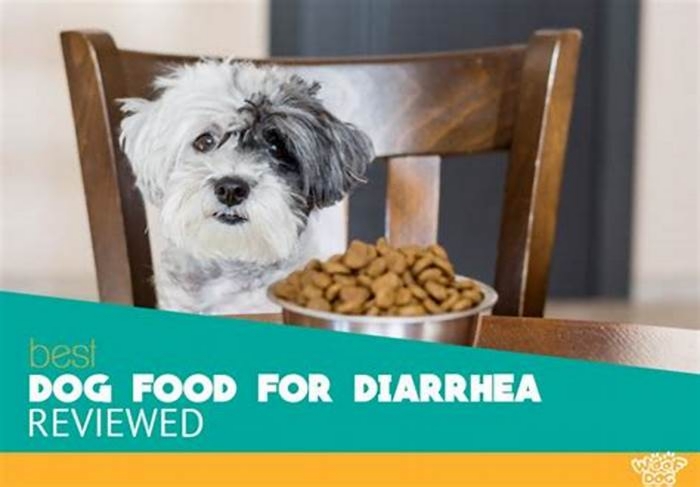 best human food for dogs with diarrhea