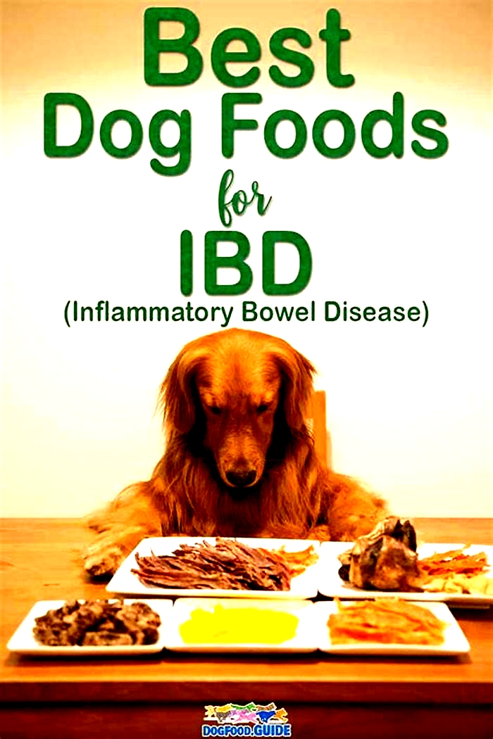 best human food for dogs with ibd