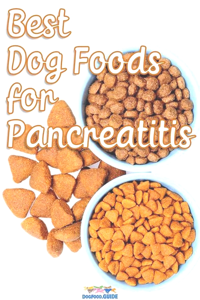 best human food for dogs with pancreatitis