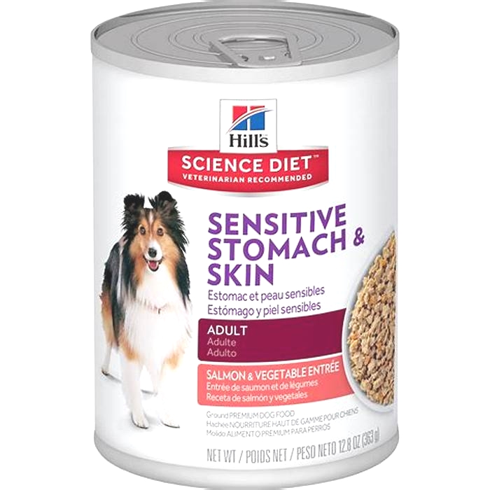 best human food for dogs with sensitive stomachs