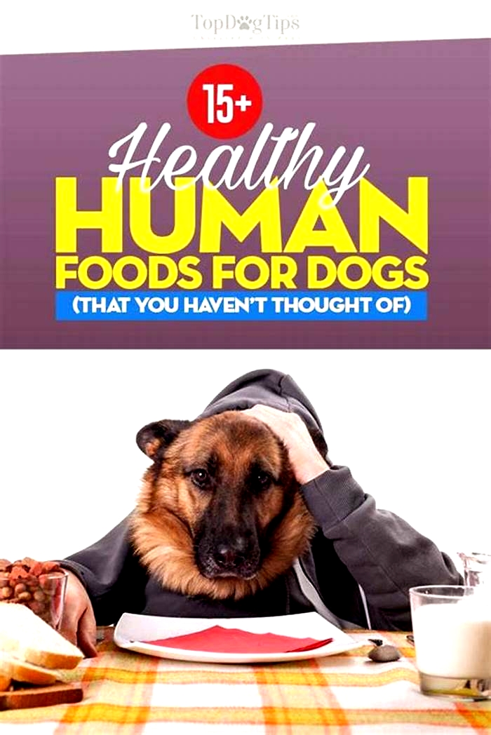 best human food for dogs