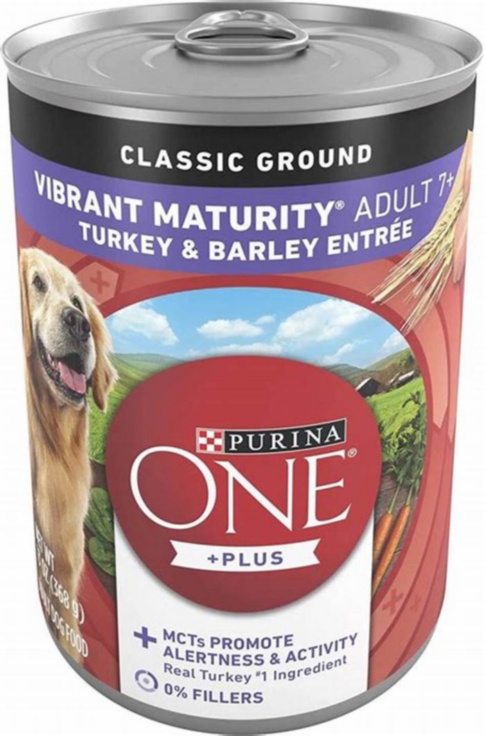 best human food for elderly dogs