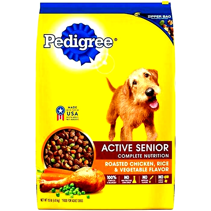 best human food for older dogs