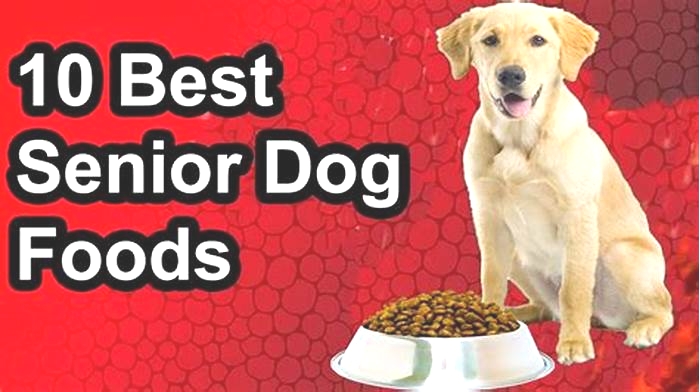 best human food for senior dogs