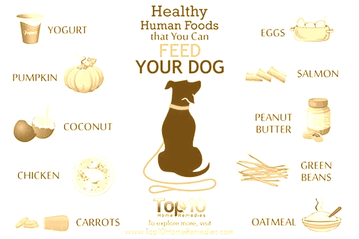 best human food to feed your dog