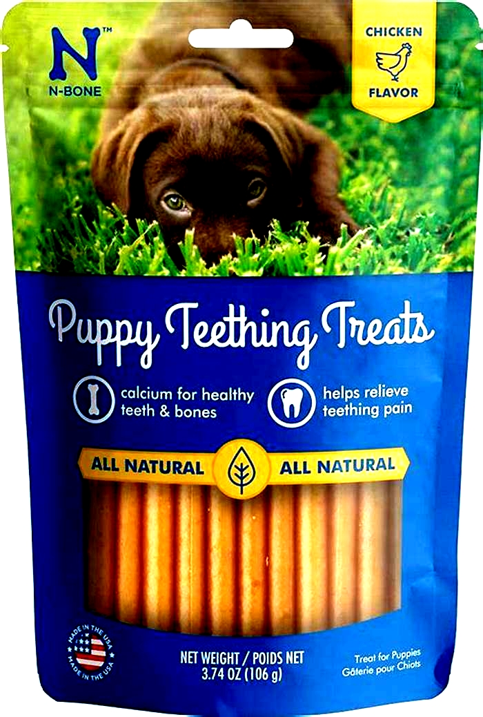 best human food treats for puppies