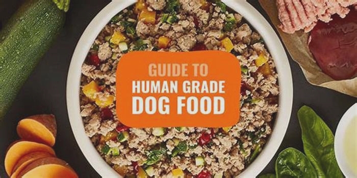 best human-grade dog food