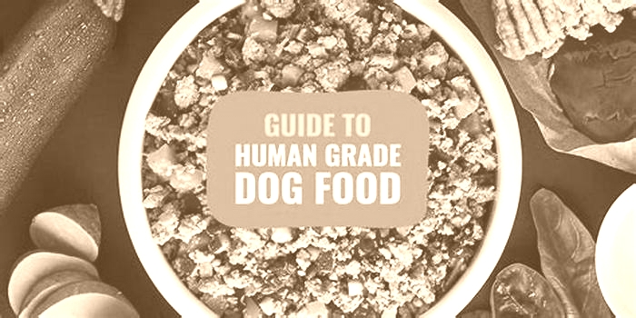 best human grade food for puppies