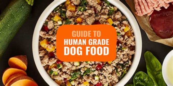 best human grade raw dog food