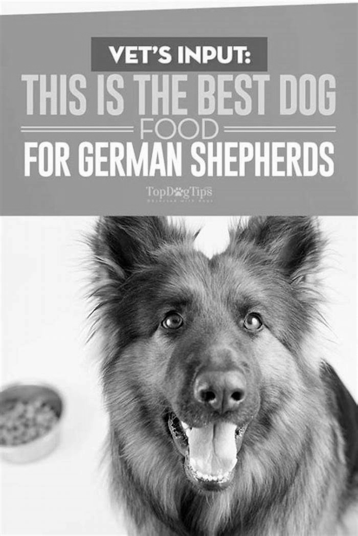 best limited ingredient dog food for german shepherds