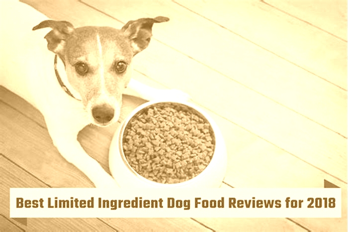 best limited ingredient dog food