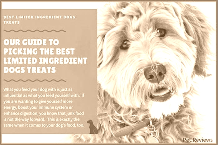 best limited ingredient dog treats