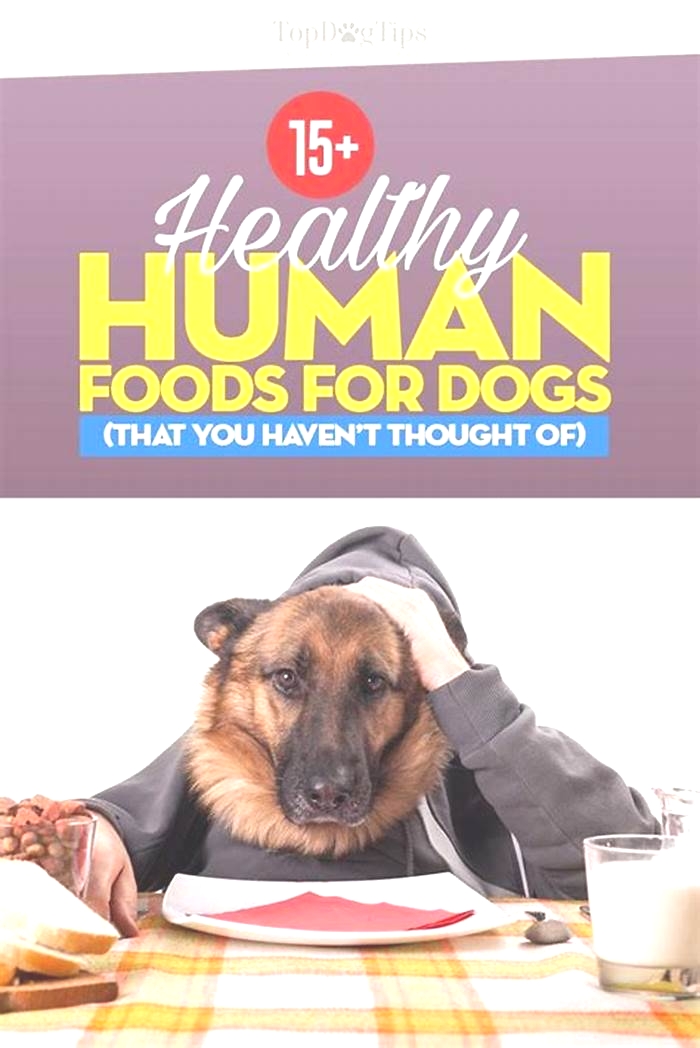 best low fat human food for dogs