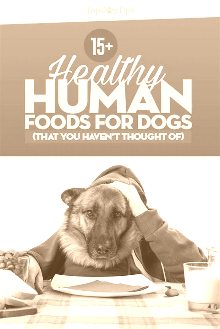 best raw human food for dogs