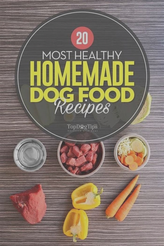 best recipe for healthy homemade dog food