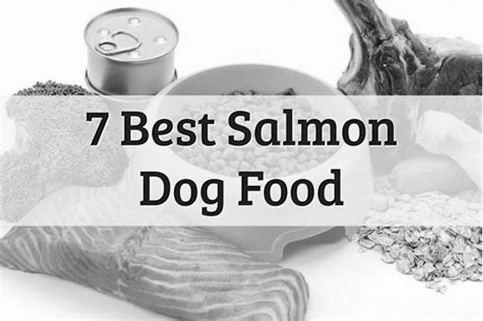 best salmon dog food for skin allergies